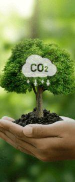 Low carbon future 